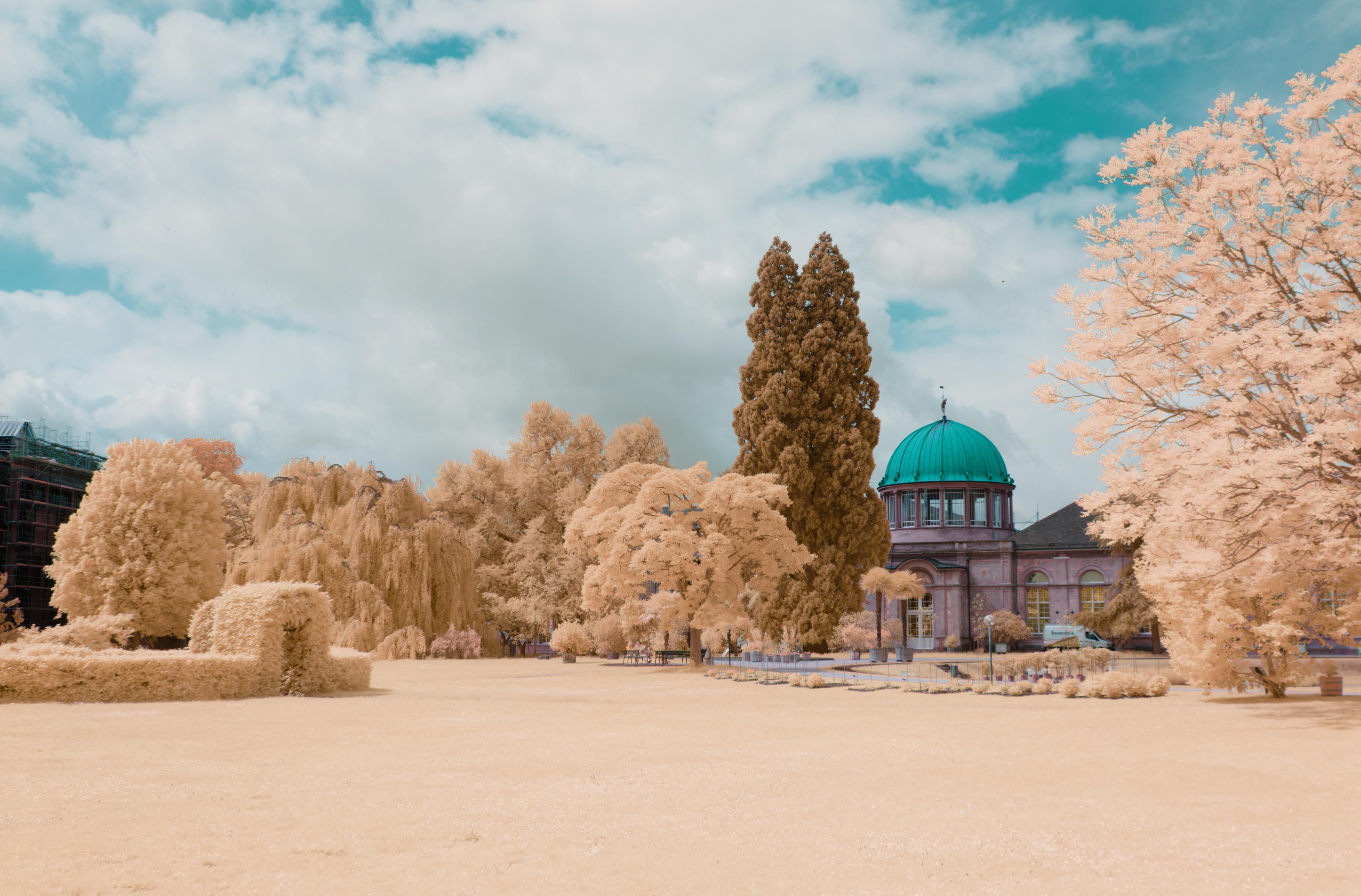 a photo down a a field with a huge cypress tree next to an old building with a big green copper dome. the sky is clouded and blue. all foliage in the photo is faint yellow.